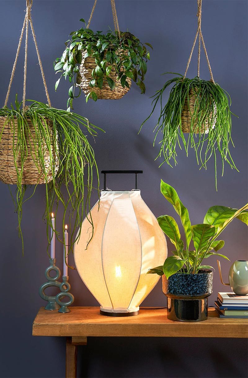 Set van drie lichtbruine plantenmanden van gevlochten zeegras die je heel leuk op verschillende hoogtes kunt ophangen. Hier verkrijgbaar.